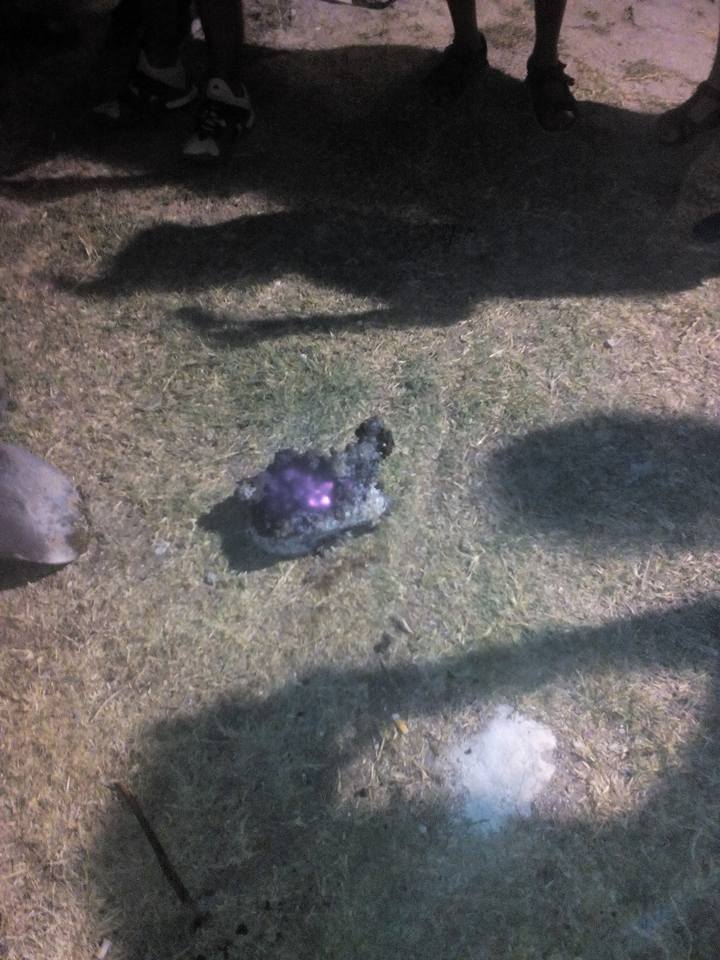 20882939 1849204855396894 5640760761714240784 N