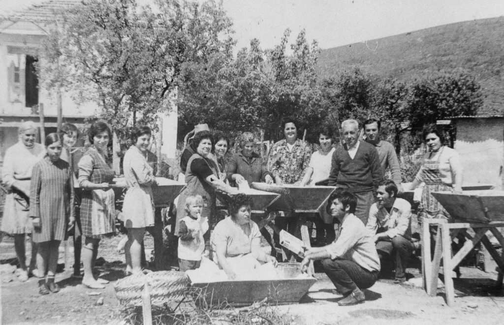 275842408 5095628377170696 2051630416326687677 N