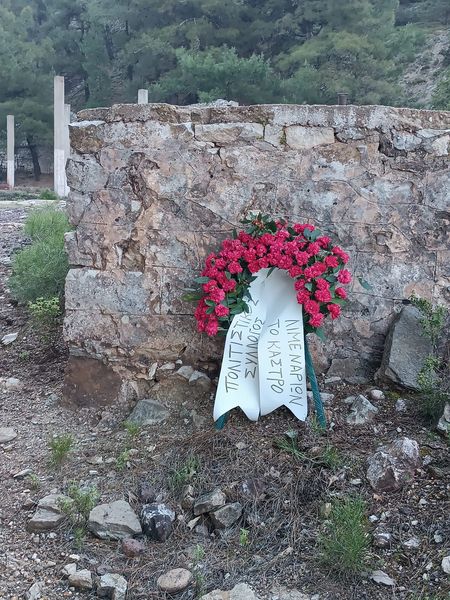 344574700 739060127920236 6793400173711078863 N