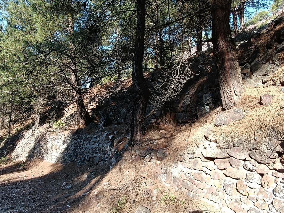 344725239 1799225153808206 240058020201951733 N