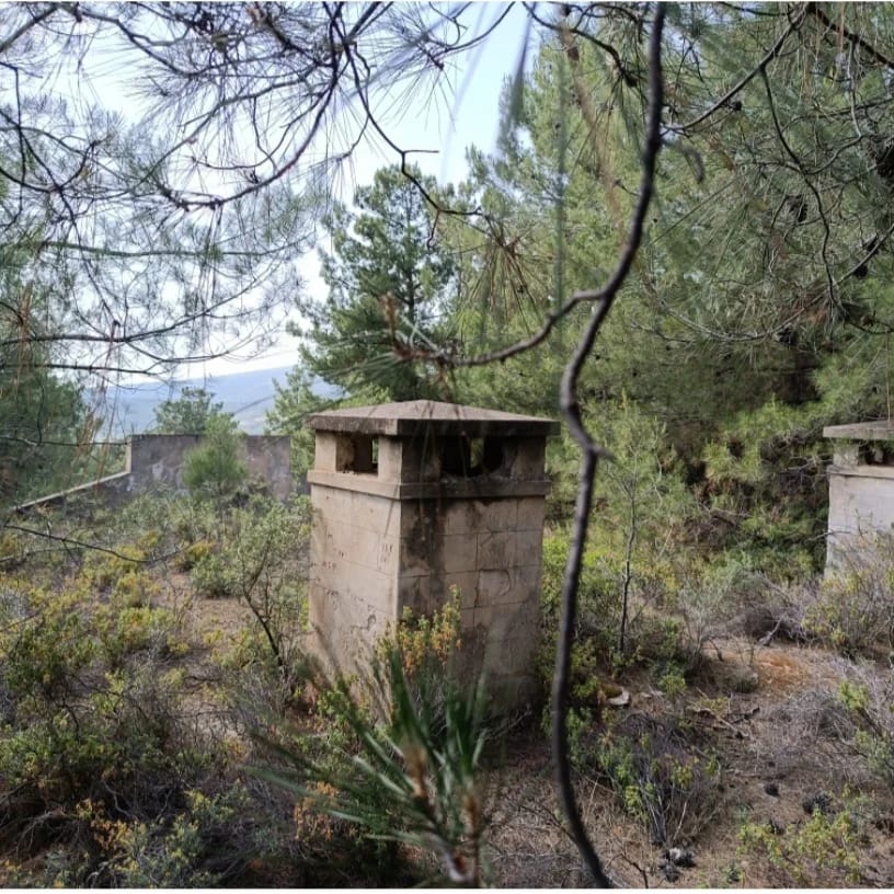 441953330 1043720350719340 7874900154656631929 N