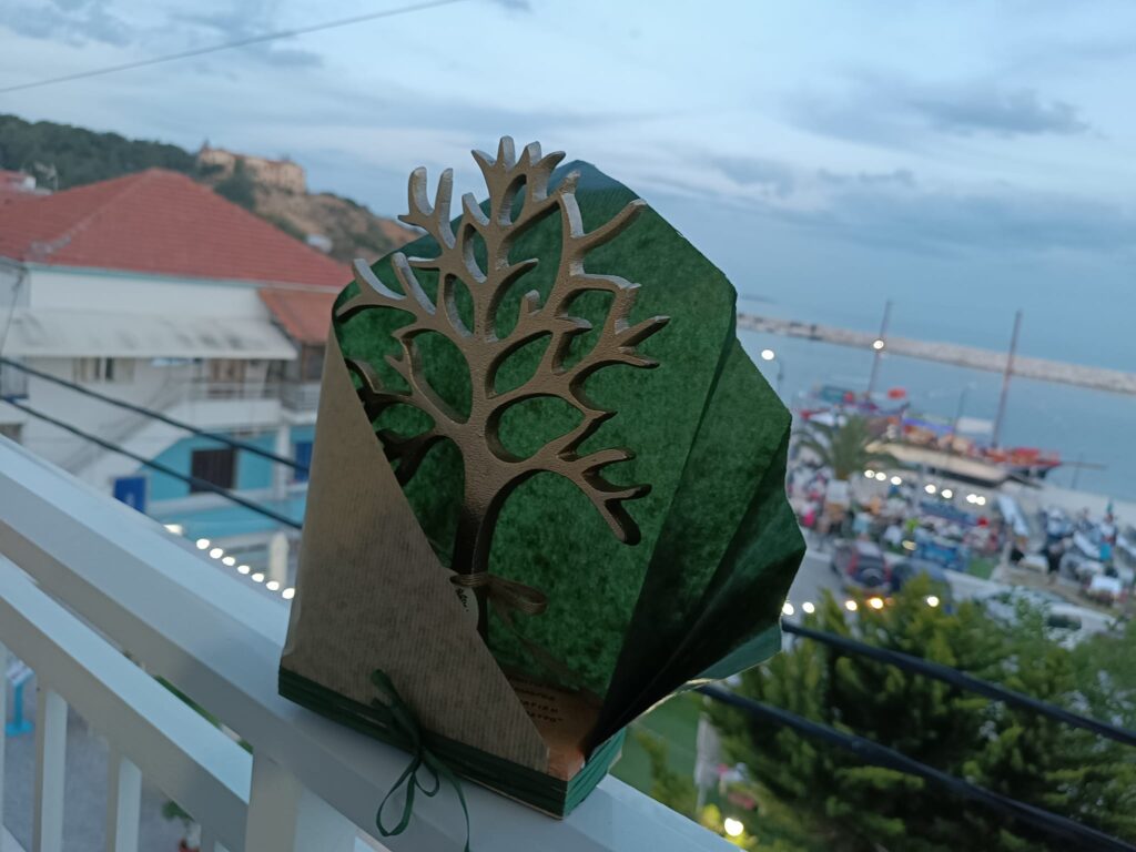 445389508 1045131557244886 5439258790359803427 N